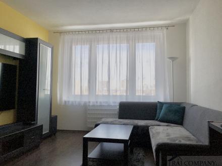 property_photo/49/49-16758613976878.jpg
